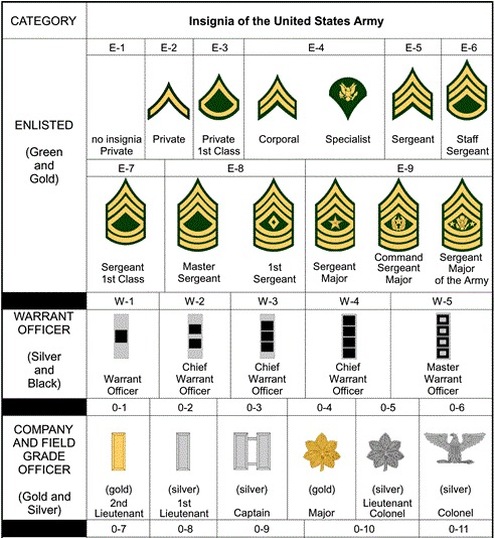 BF1 Tactical Division